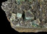 Quartz Encrusted Fluorite Cluster - Rogerley Mine #60371-3